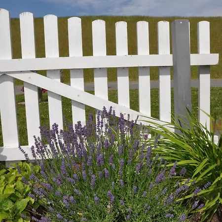 Ole Post * Dagebüll