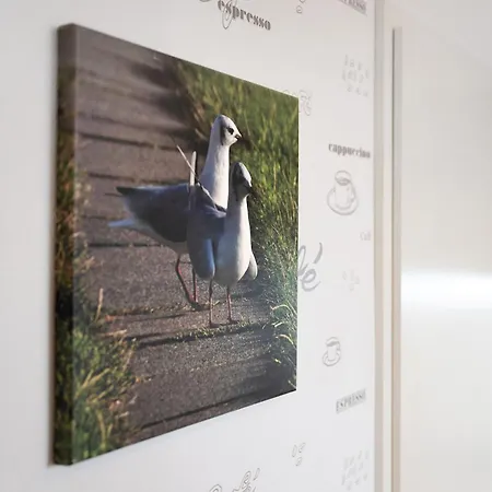 Ole Post Апартаменты Дагебюлль