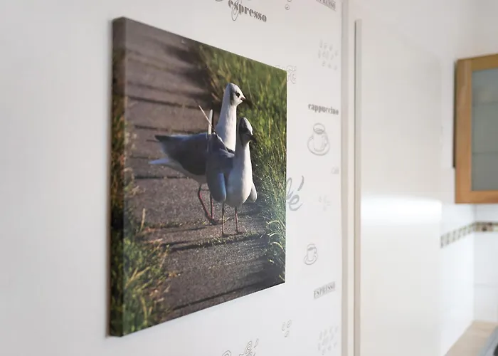 Ole Post アパート Dagebüll